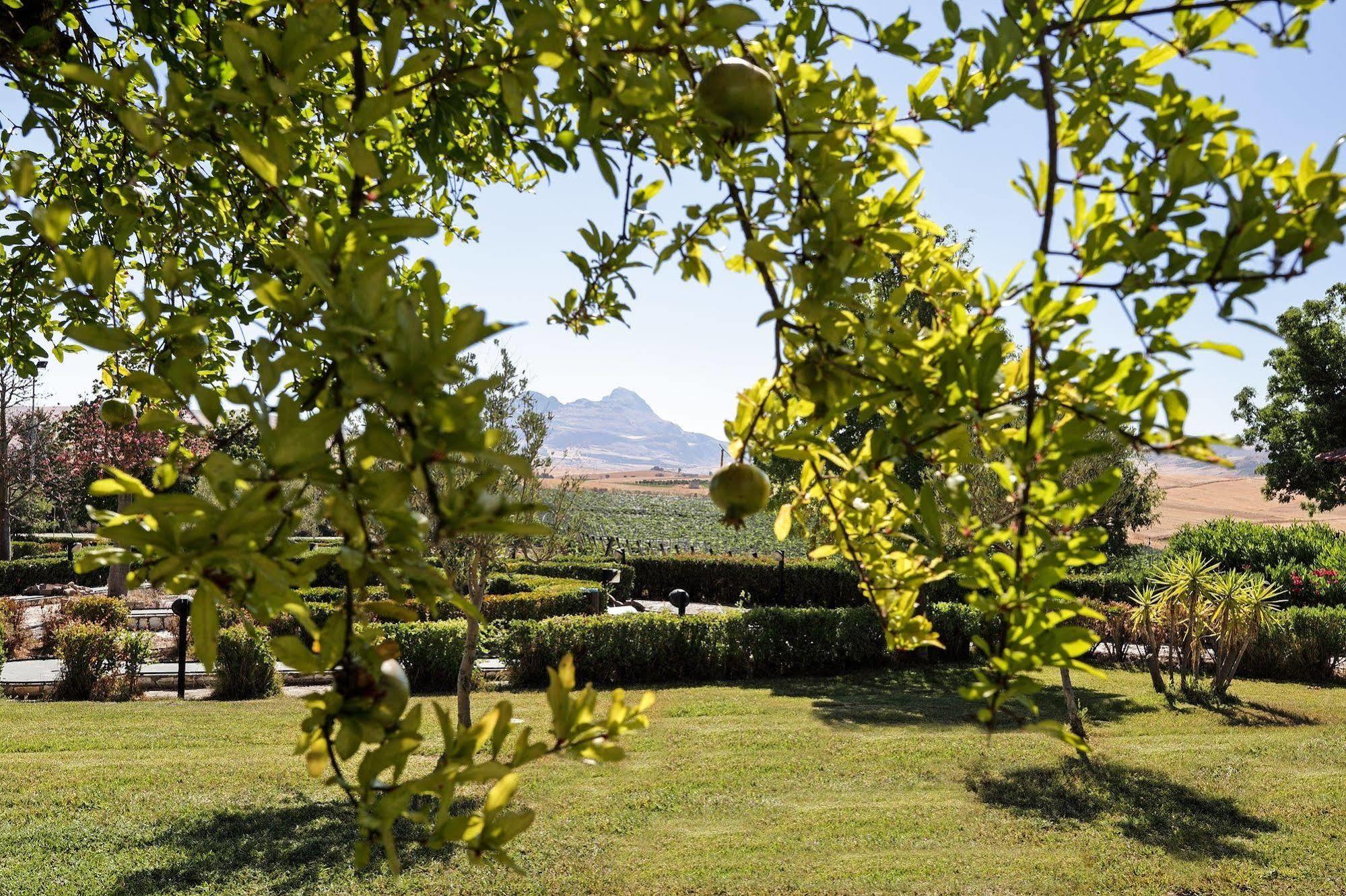Agriturismo Tenute Pollara Roccamena 外观 照片